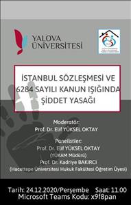 ‘İSTANBUL SÖZLEŞMESİ VE 6284 SAYILI KANUN IŞIĞINDA ŞİDDET YASAĞI’ KONULU PANEL